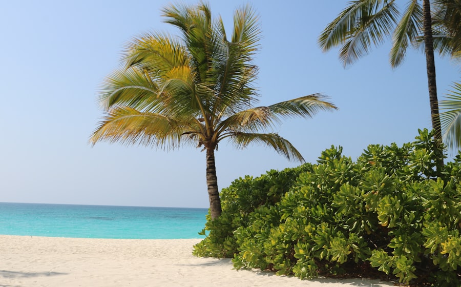 Kendwa Beach