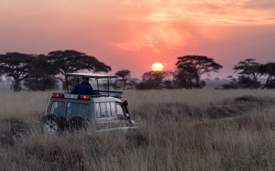 Serengeti Safari
